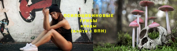 дживик Котовск