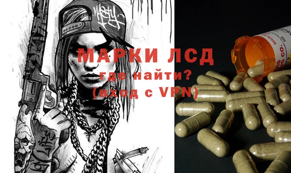 ALPHA PVP Няндома