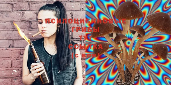 мяу мяу кристалл Нягань
