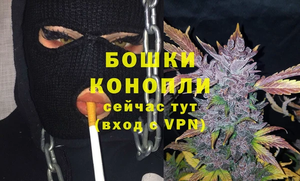 ALPHA PVP Няндома